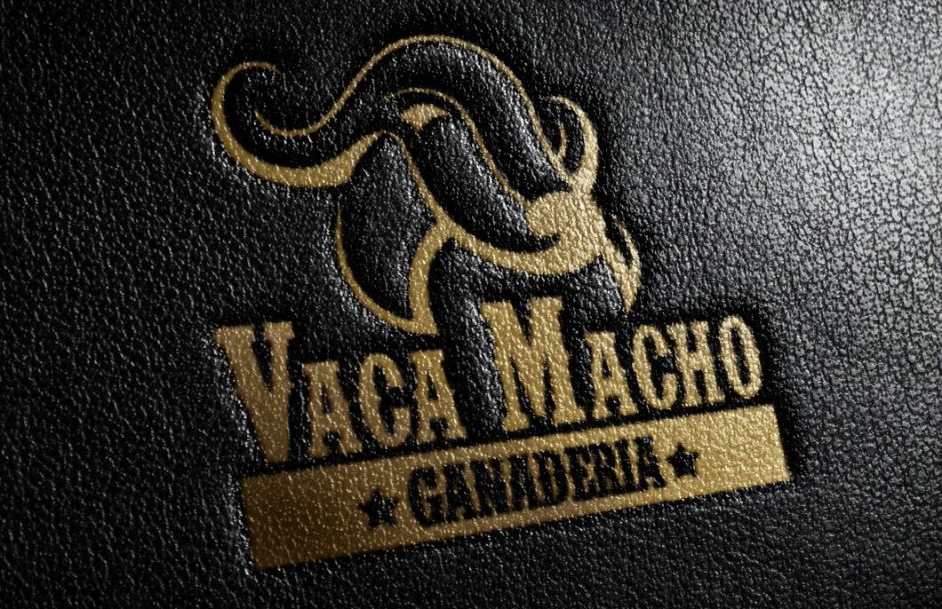 Logo de VacaMacho