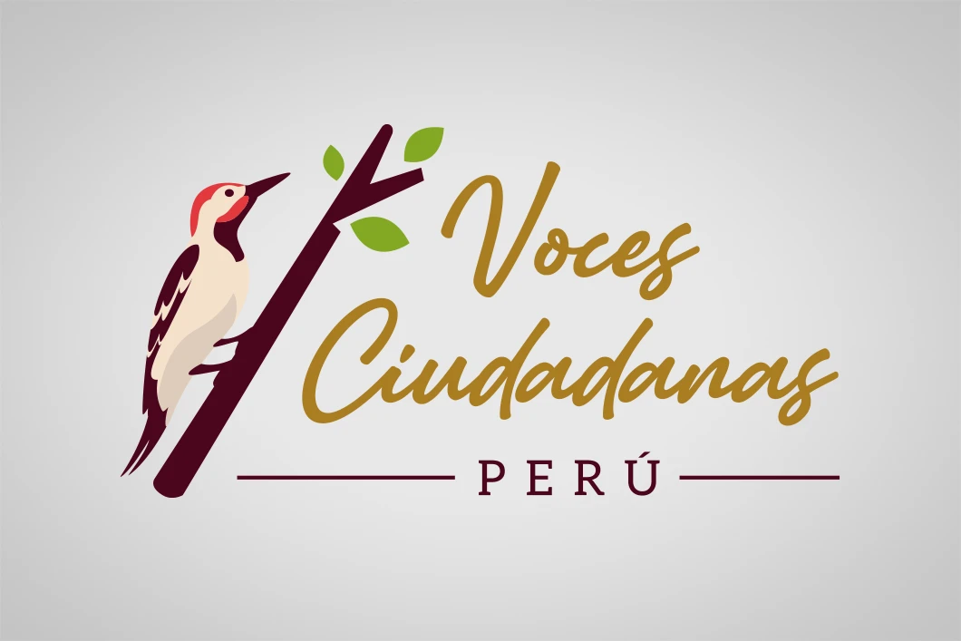 Logo de Voces Ciudadanas Perú - Color
