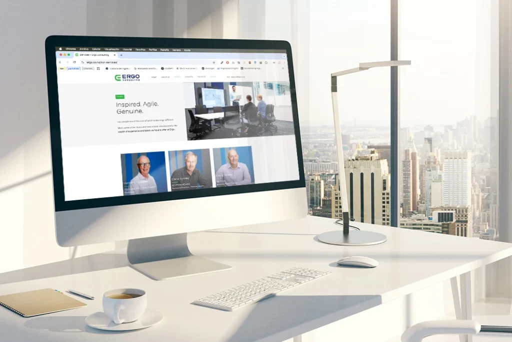 Sitio web de Ergo Consulting Desktop